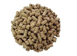 فرآیند تولید خوراک پلت و نقش آن در تغذیه دام