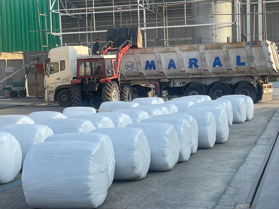 ارسال سیلاژ خوراک کامل به کرج