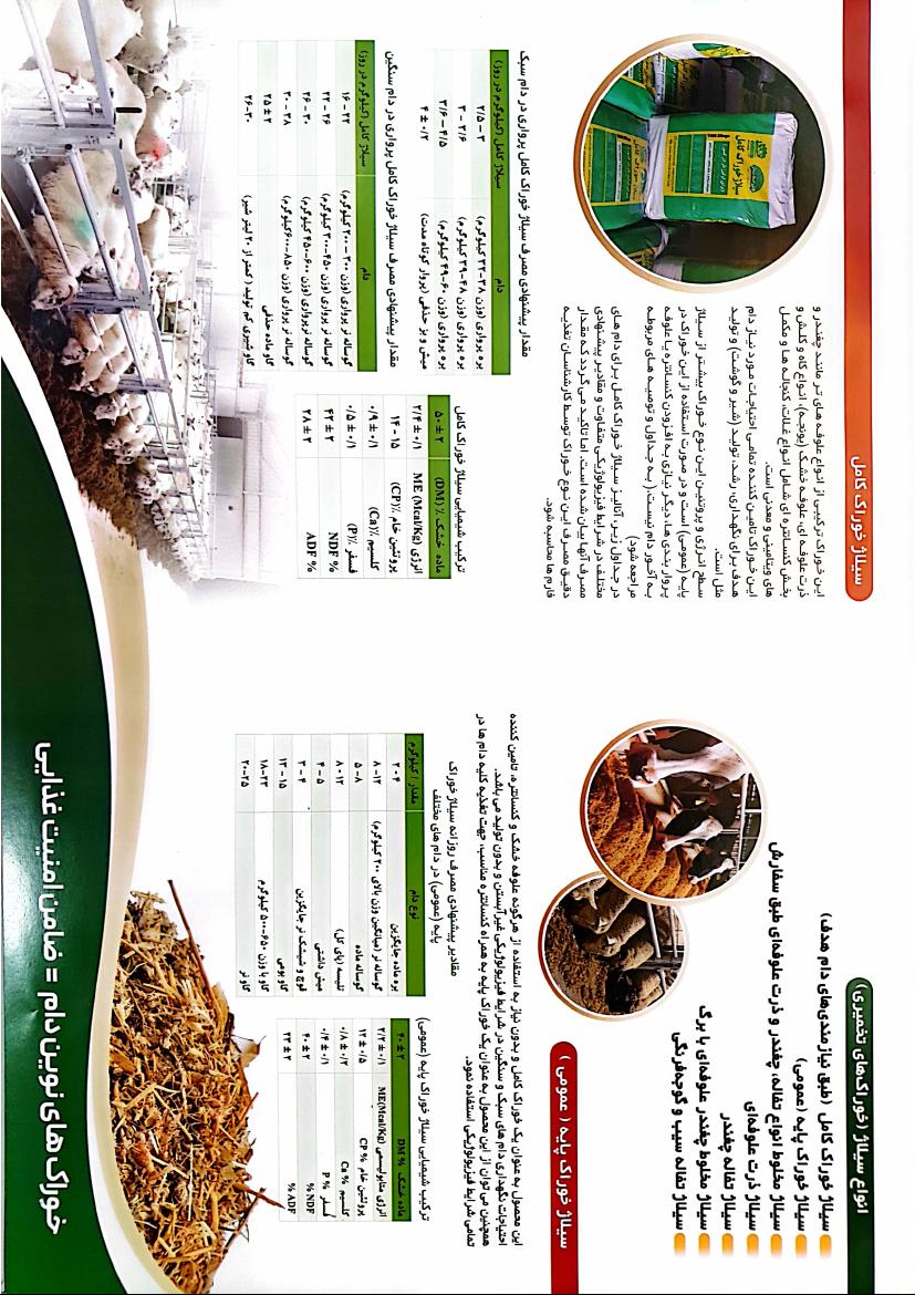 سیلاژ خوراک دام کامل TMR Silage