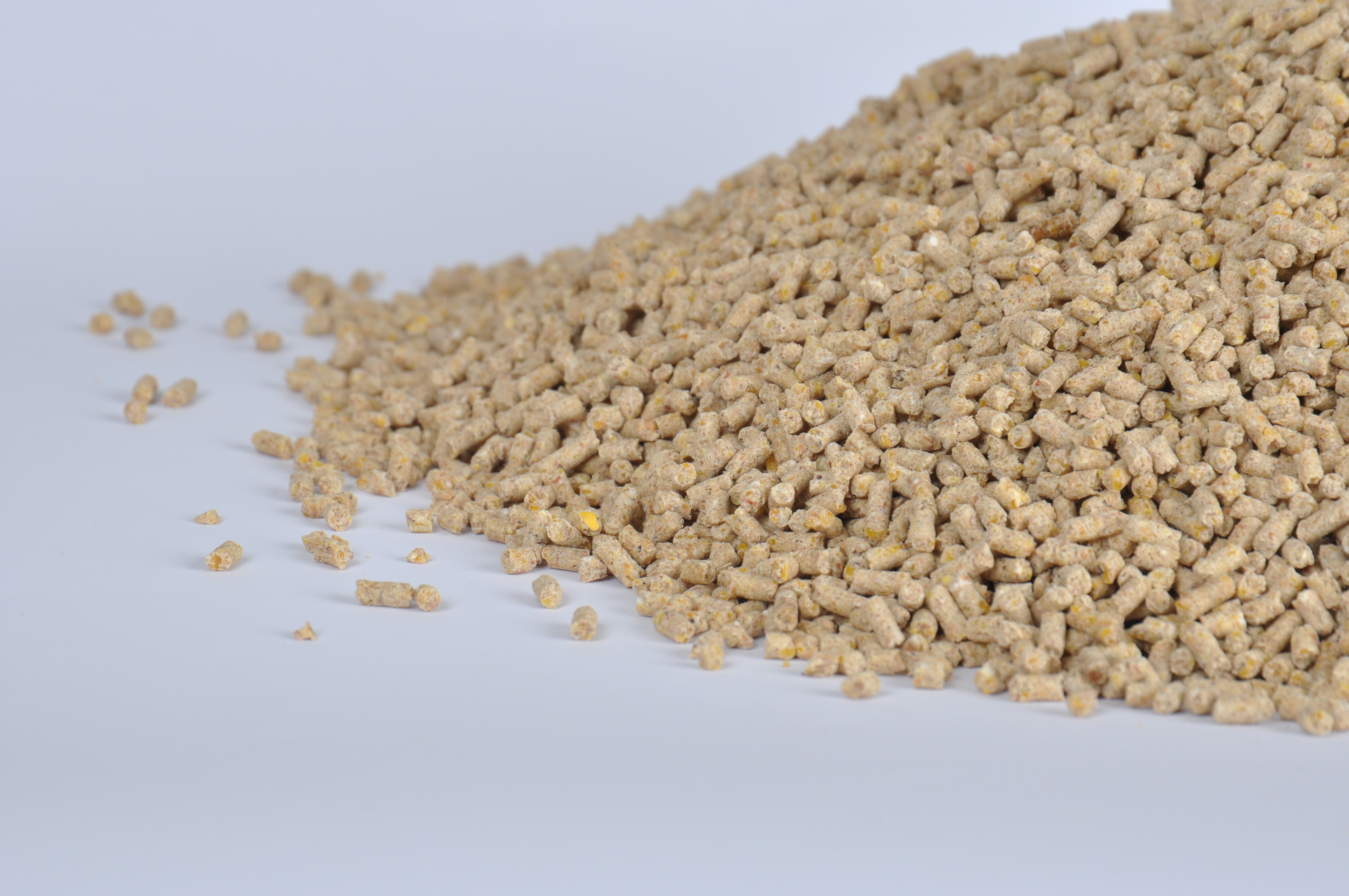 دان آماده مرغ تخم گزار