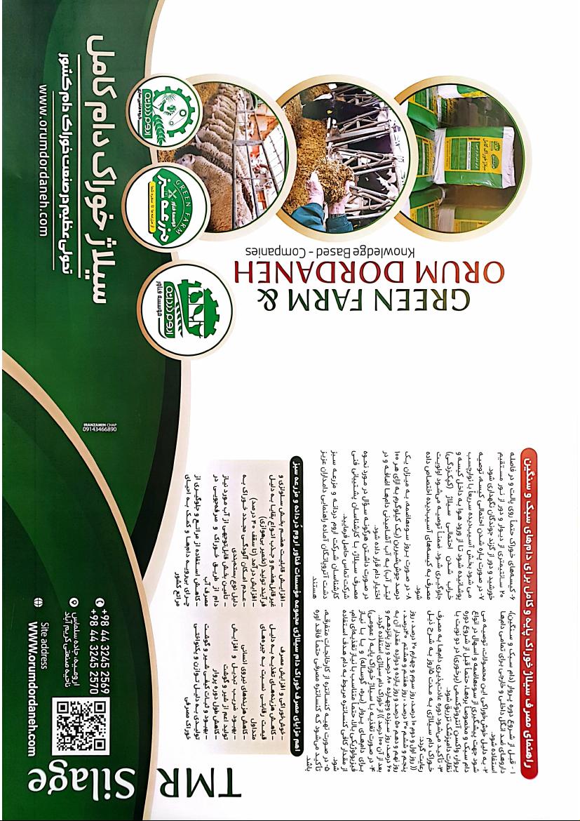 سیلاژ خوراک دام کامل TMR Silage